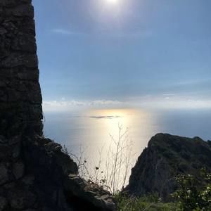 Meet your Posher, Jane